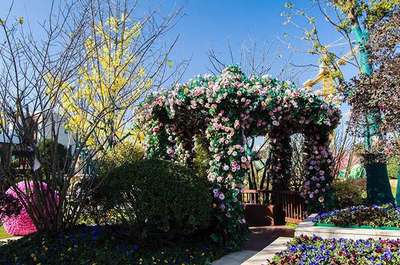 《中國新歌聲》青浦賽區(qū)4月8日即將震撼開唱!-上海房訊-買房大師