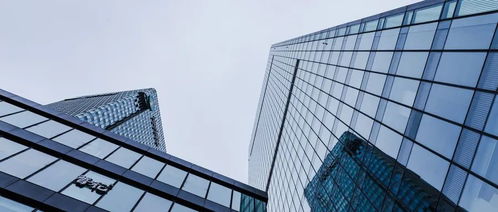 每日昱言 上海 開展對房地產估價機構檢查