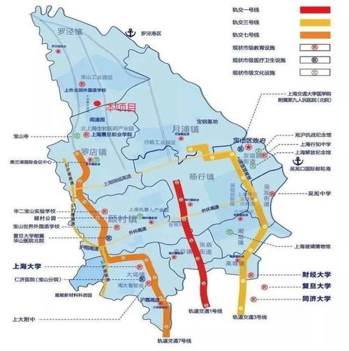 上海市寶山區潘涇路工業用地和廠房轉讓項目 推動產業升級與房地產開發新機遇